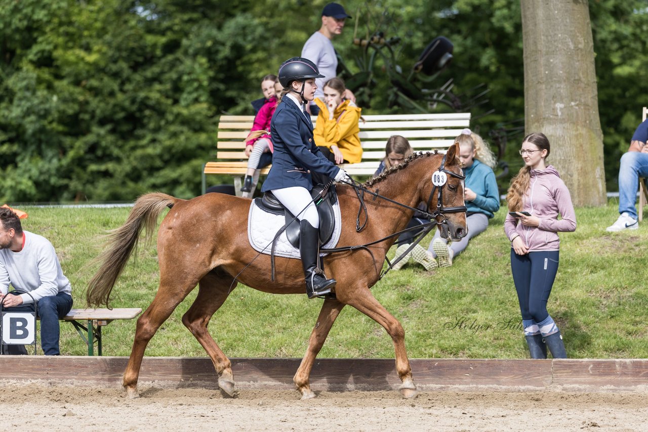 Bild 155 - Pony Akademie Turnier